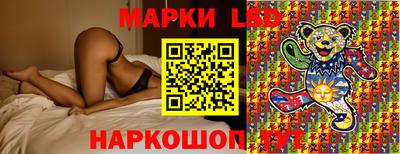 скорость Шелехов