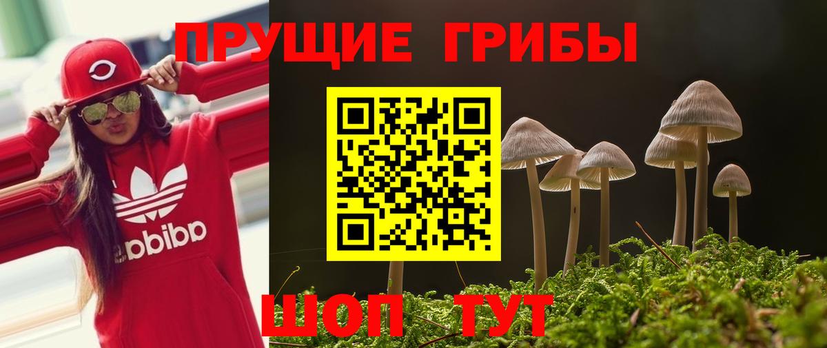 Мценск  Галлюциногенные грибы MAGIC MUSHROOMS  Псилоцибиновые грибы Magic Shrooms  Вход с VPN 
